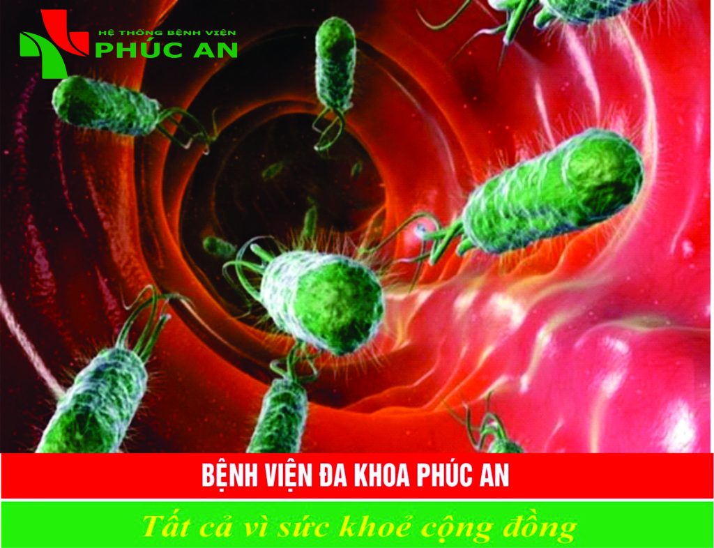 VI KHUẨN HP LÀ GÌ? LÂY QUA ĐƯỜNG NÀO?