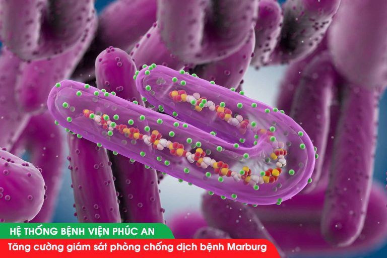 Tăng cường giám sát phòng chống dịch bệnh Marburg
