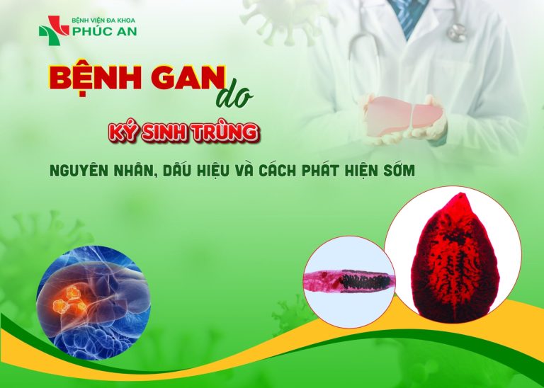BỆNH GAN DO KÝ SINH TRÙNG: NGUYÊN NHÂN, DẤU HIỆU VÀ CÁCH PHÁT HIỆN SỚM